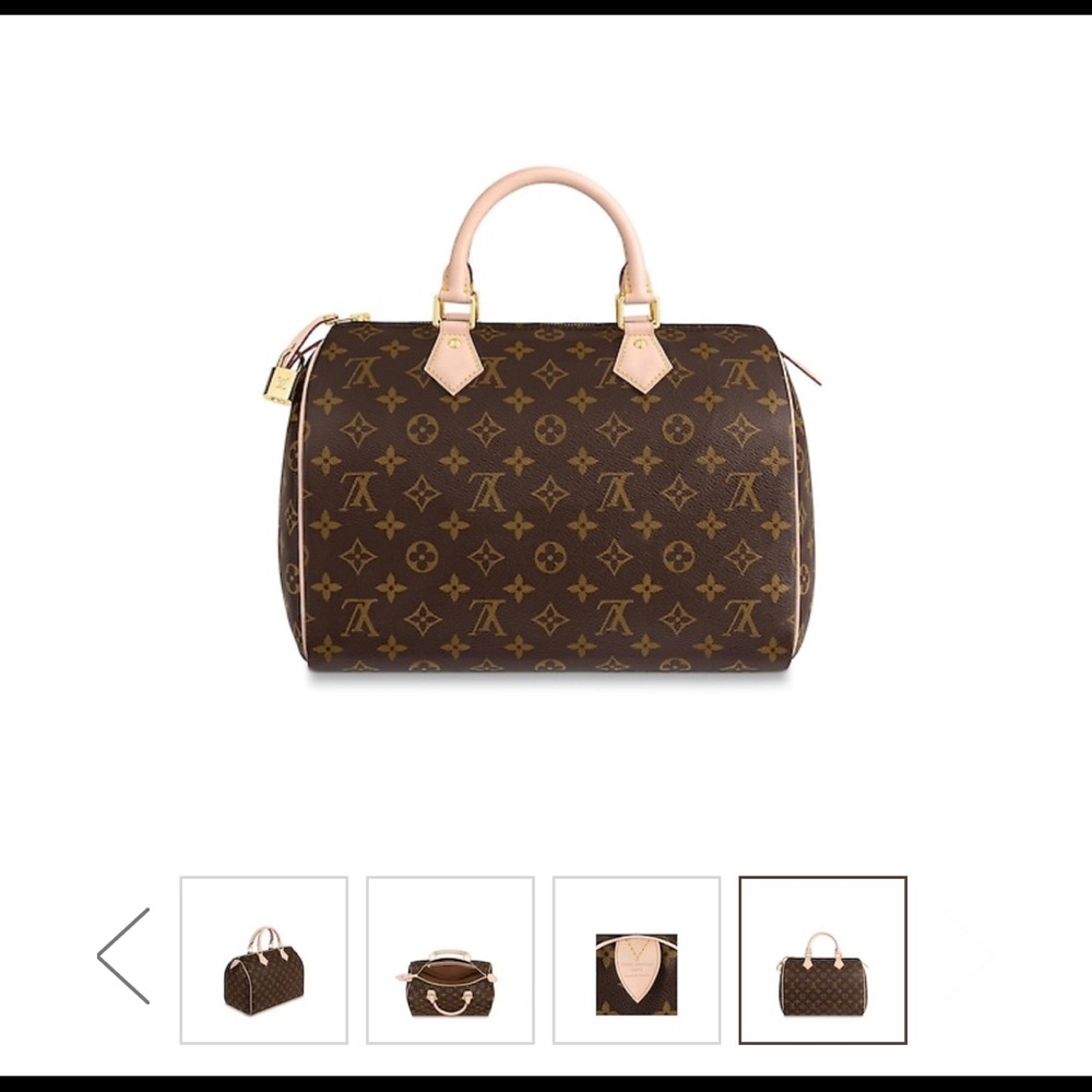 LOUIS VUITTON Monogram SPEEDY 30